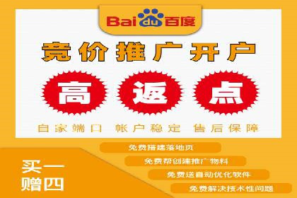 sem百度竞价实战：成功案例解析